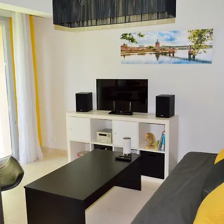 Hortensias * Toulouse