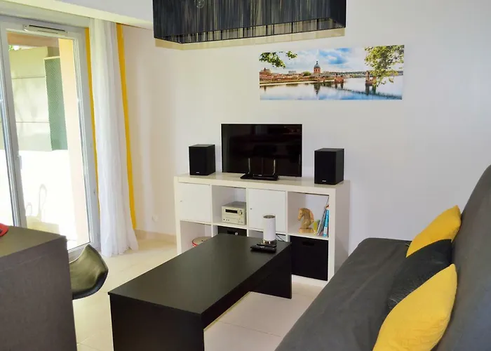 Hortensias * Toulouse