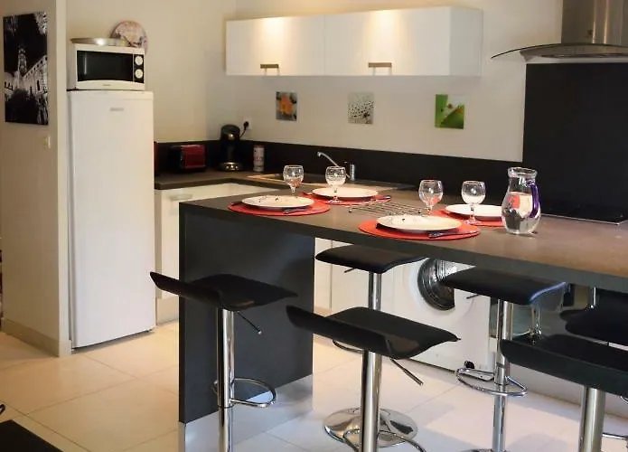 Hortensias * Toulouse