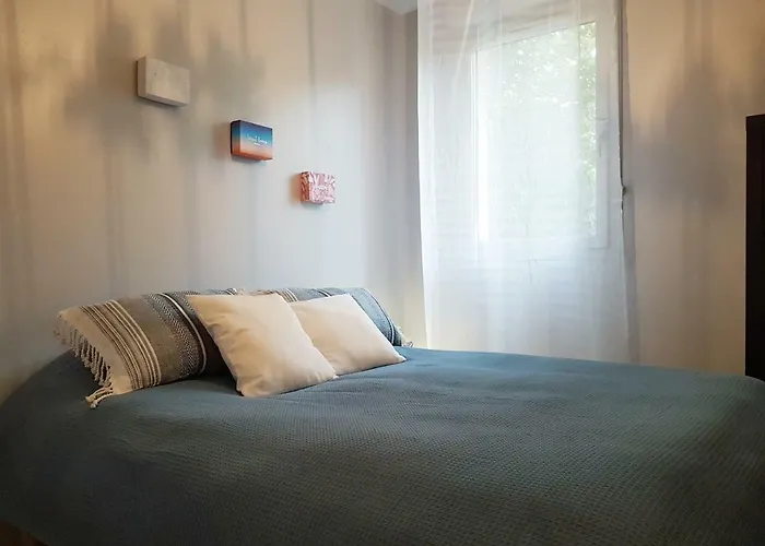 Hortensias * Toulouse